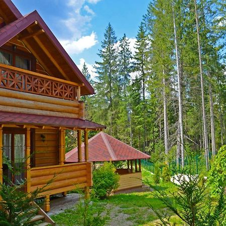 Апартаменти Knyazhyi Dvir Стригальня Екстер'єр фото